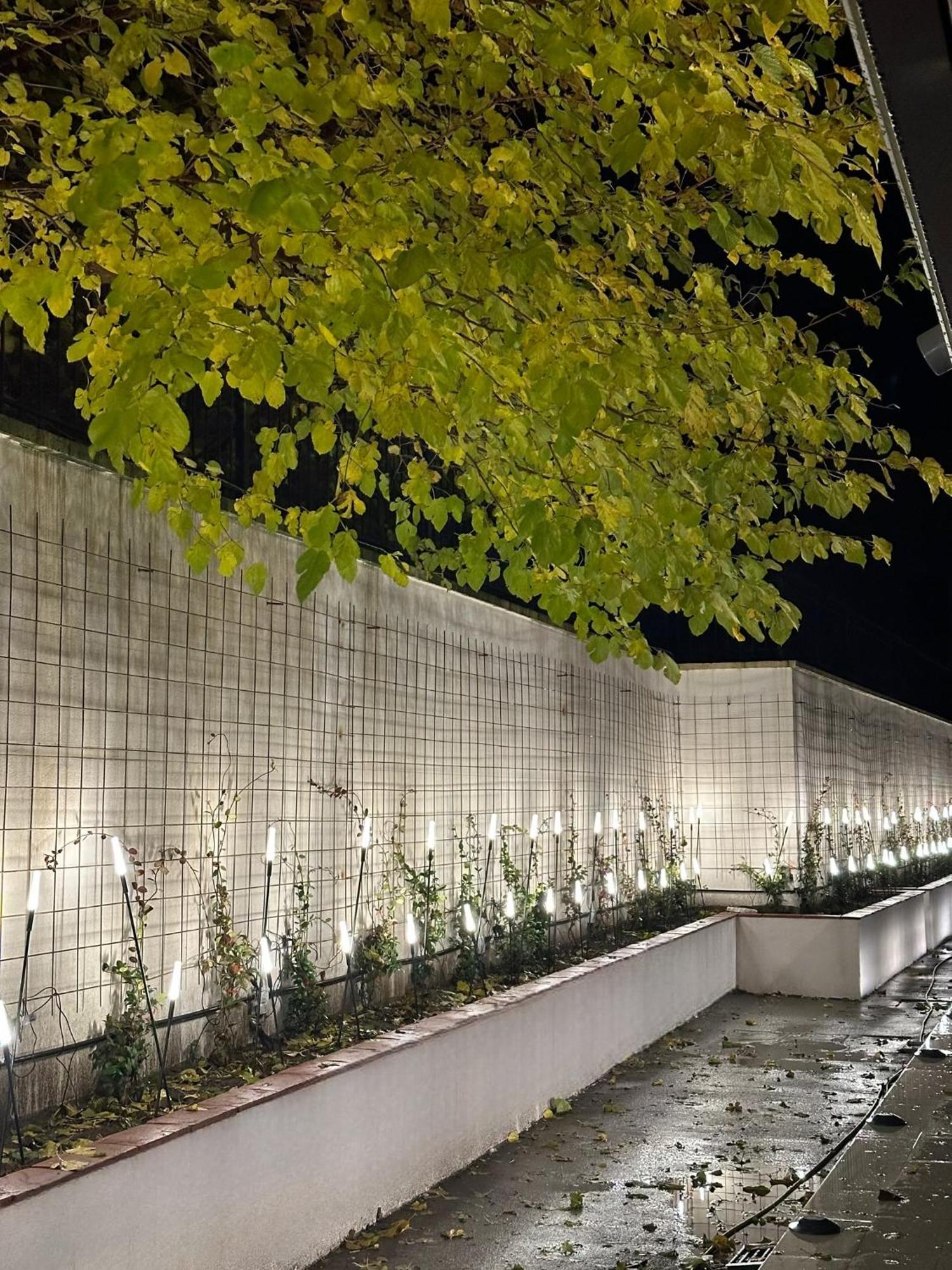 The Roots Boutique Hotel Shkodër エクステリア 写真